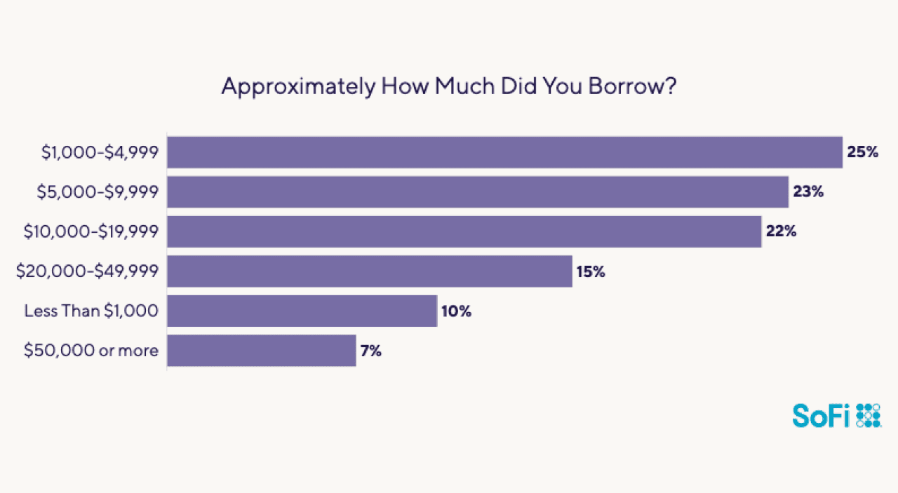 Data chart showing statistics on how much was the approximate amount people borrow.