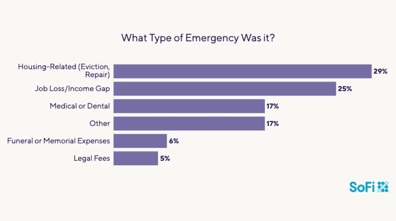 Data chart showing what types of emergency people used their loans for.