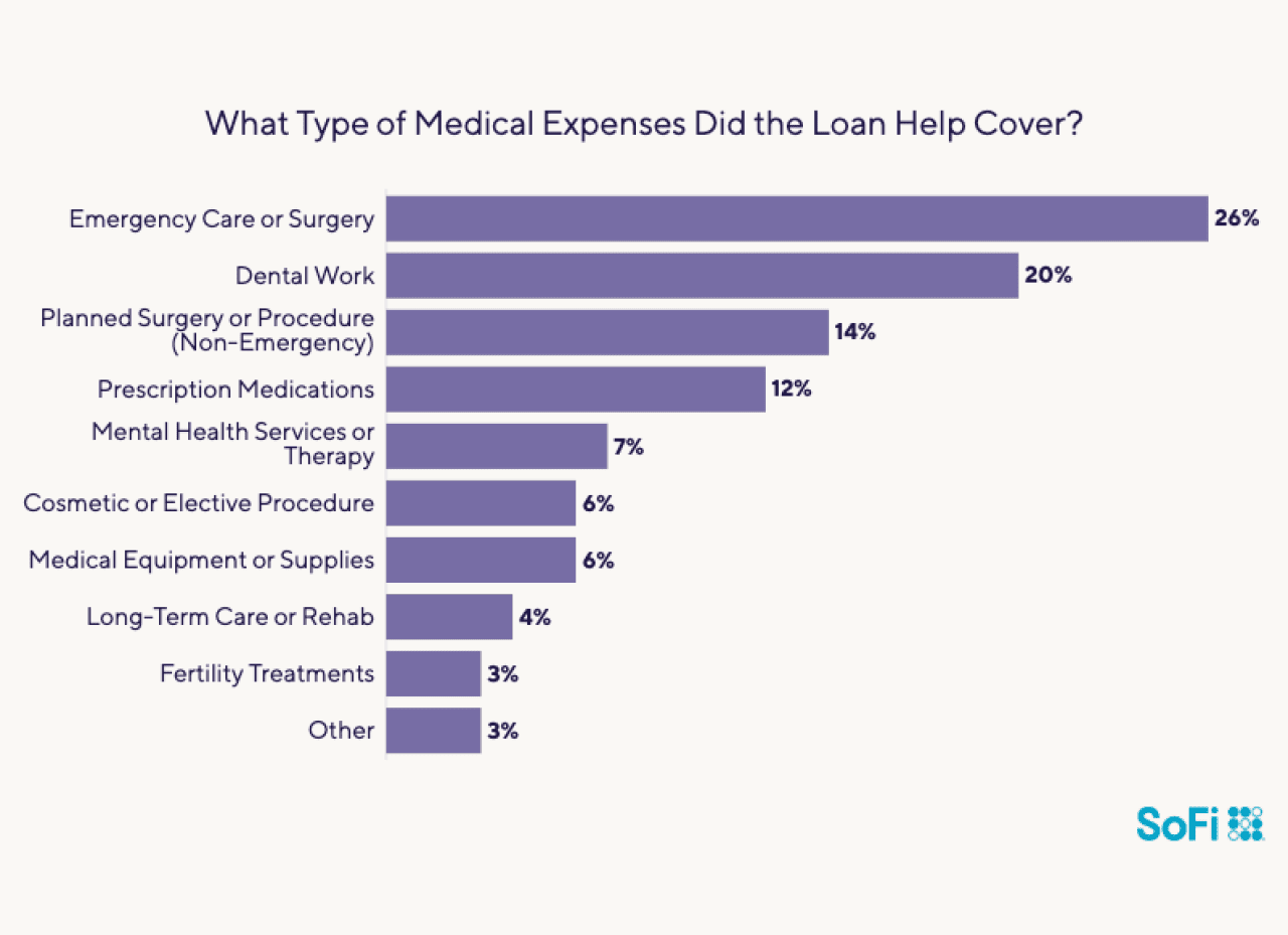 Data chart showing what types of medical expenses did loans cover.