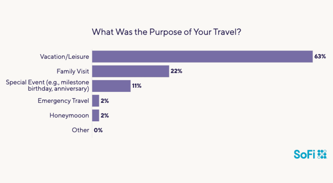 Data chart showing what the purposes are for using loans for travel.