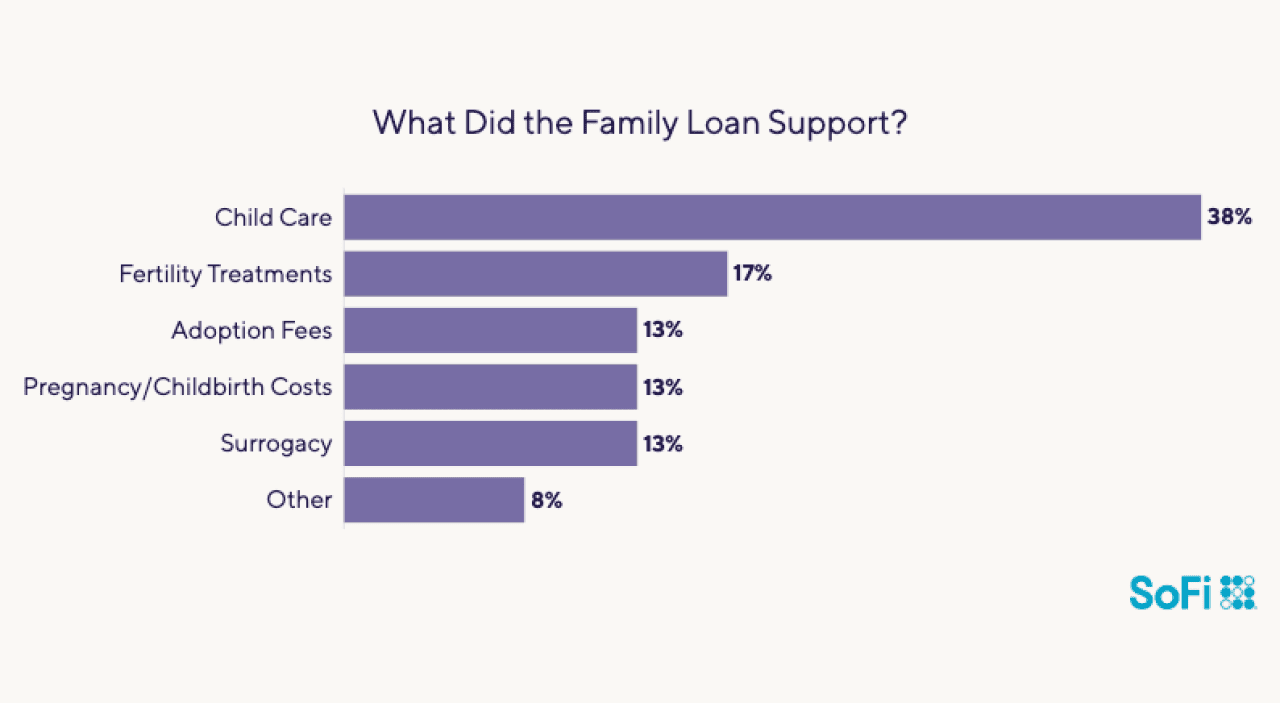Data chart showing what did the family loan support for borrowers.