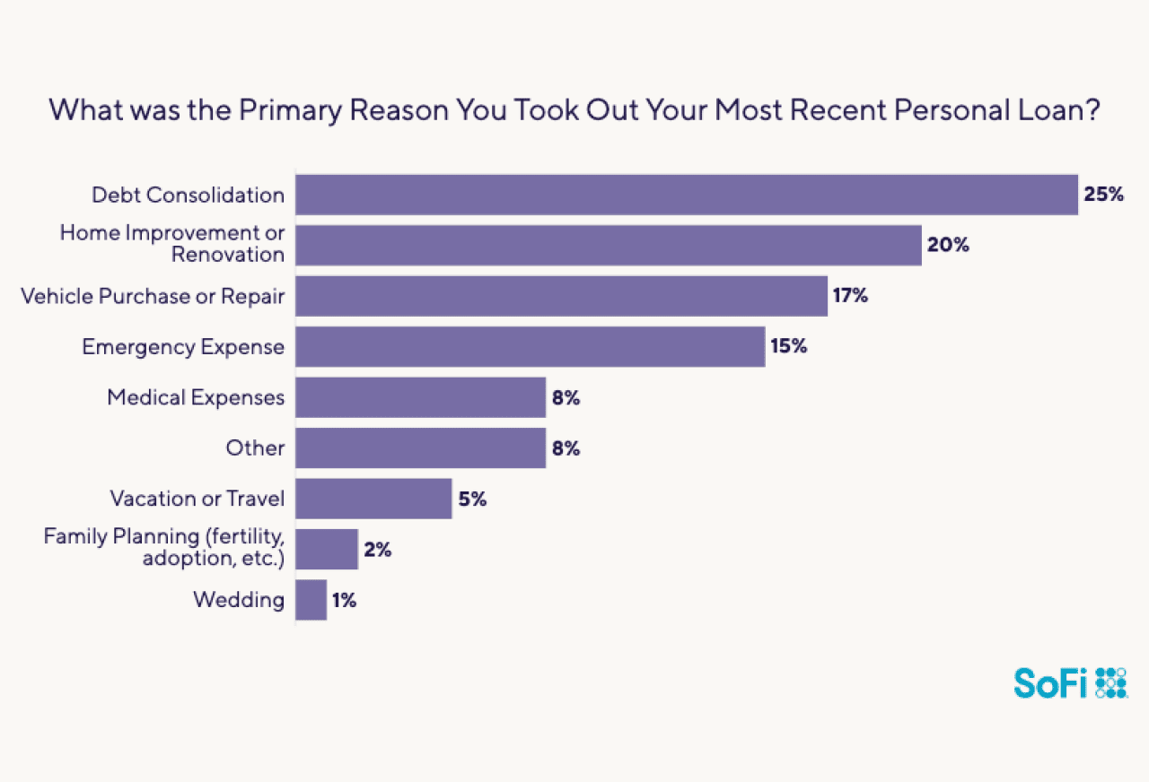 Data chart showing the common reasons people took out personal loans.