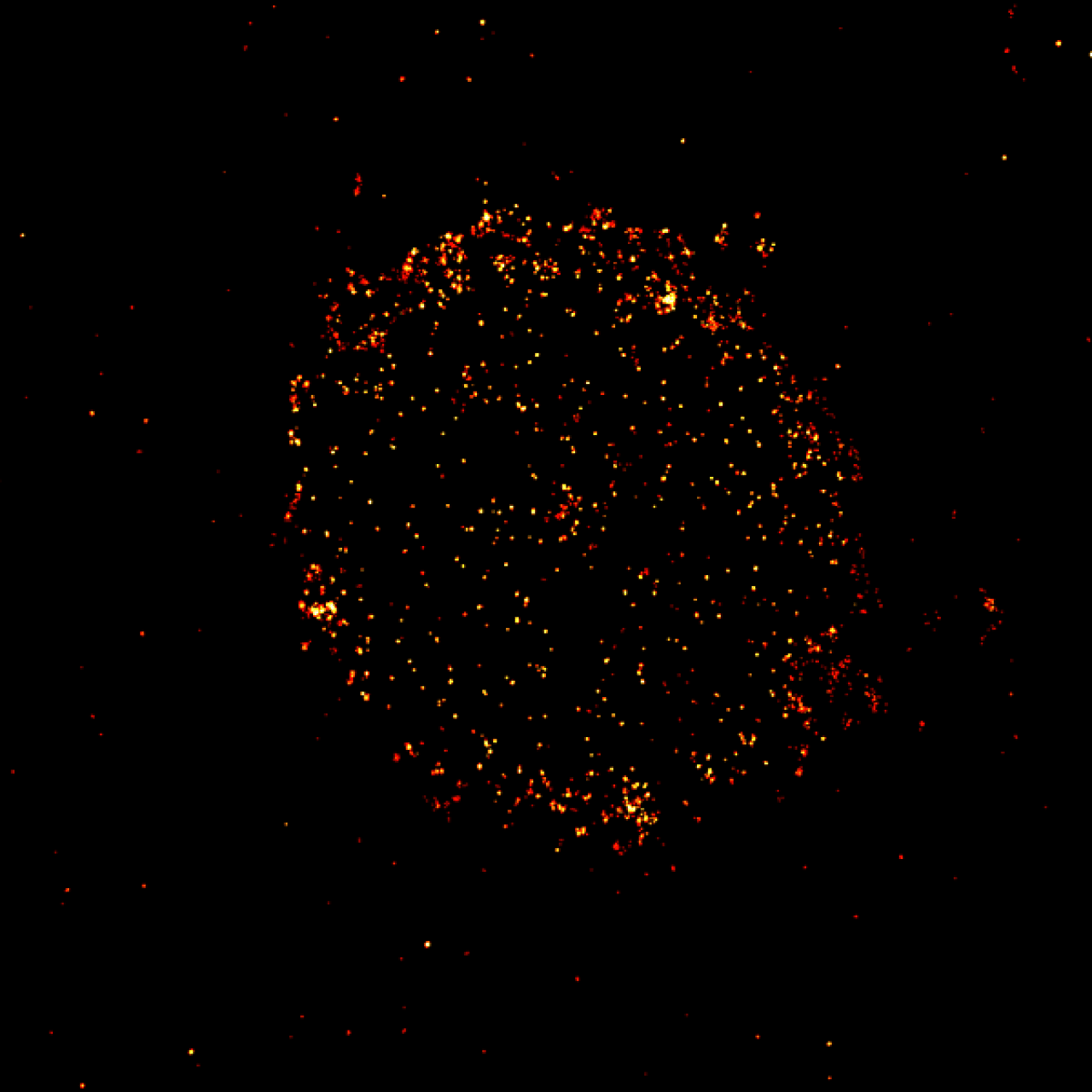A new microscopy technique can light up the protein CD-19 on the surface of cancer cells which can help determine which patients could benefit from CD-19-targeting therapies.