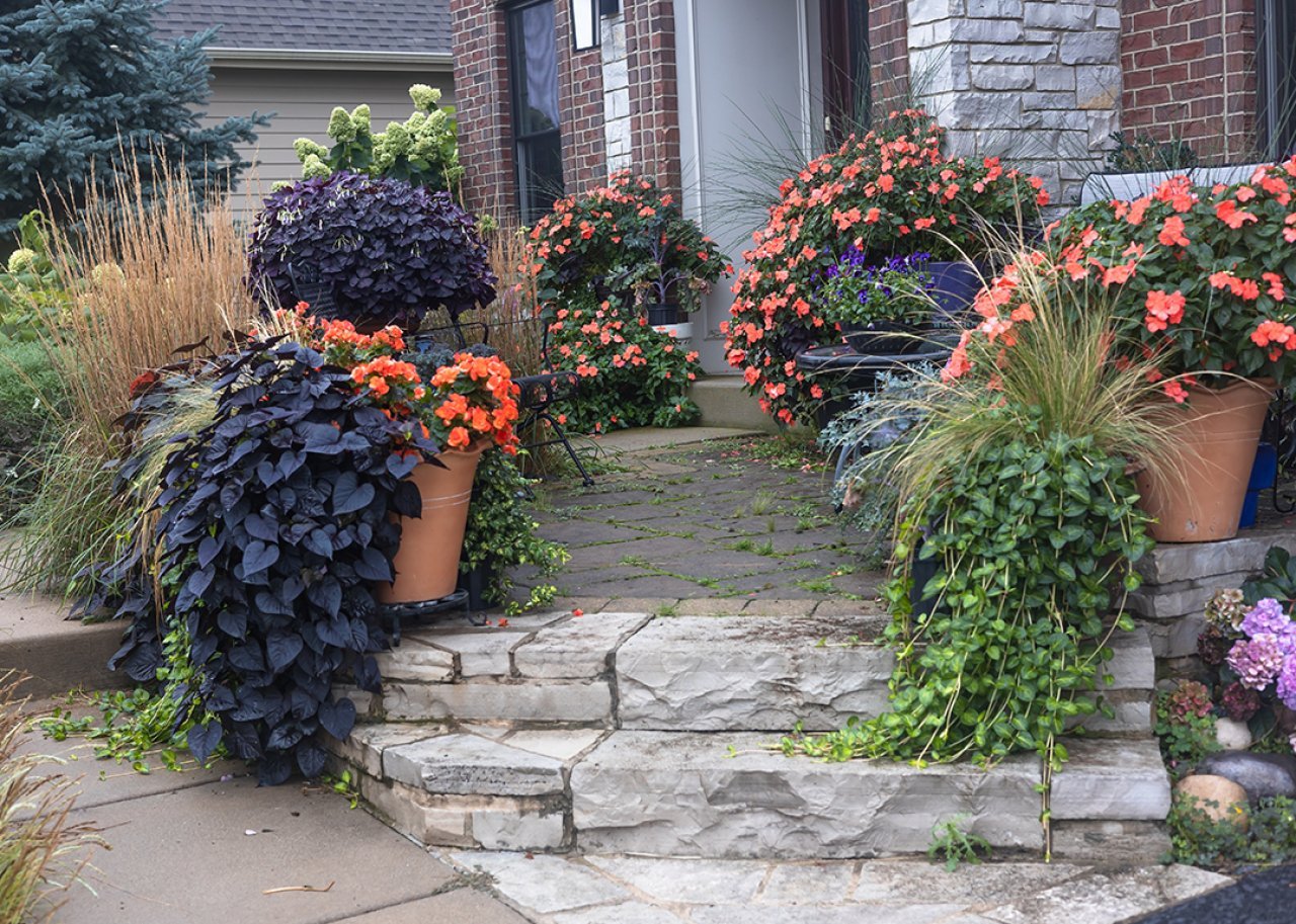 An example of a goth garden filled with terra cotta pots of black and orange flowers and plants.