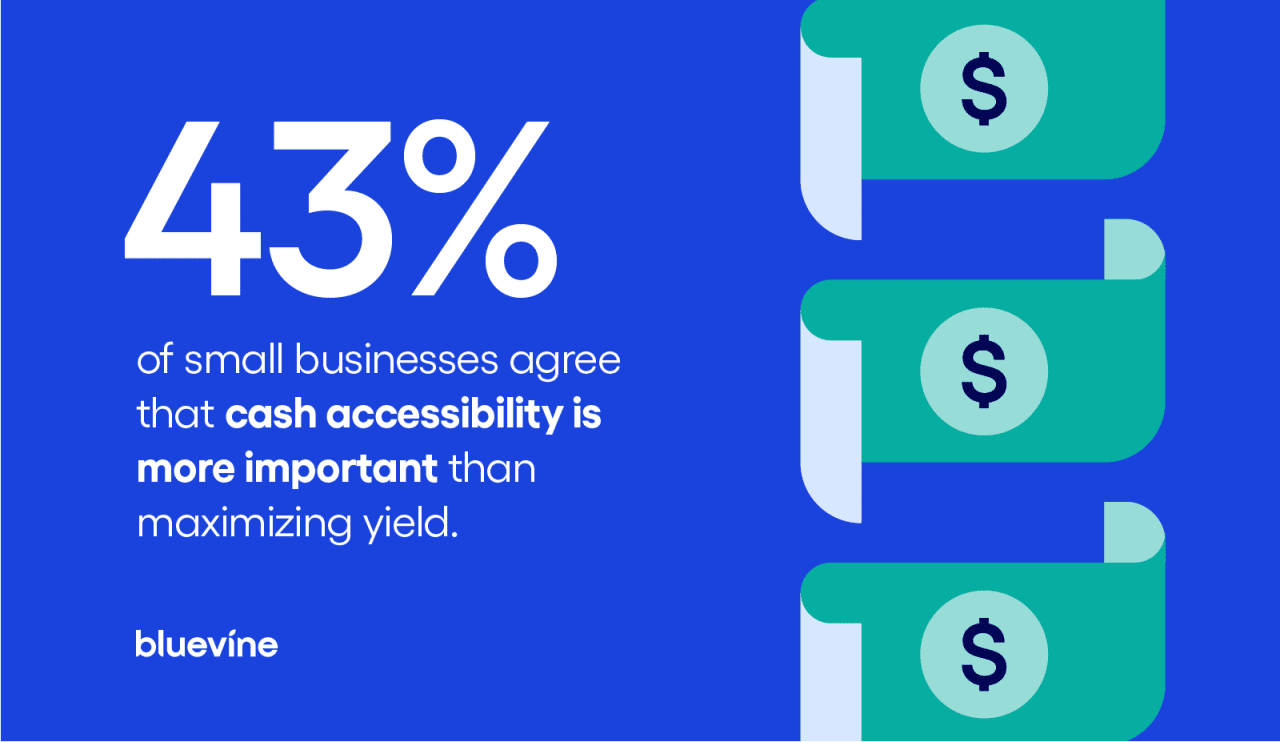 Infographic emphasizing that 43% of small businesses agree that cash accessibility is more important than maximizing yield.