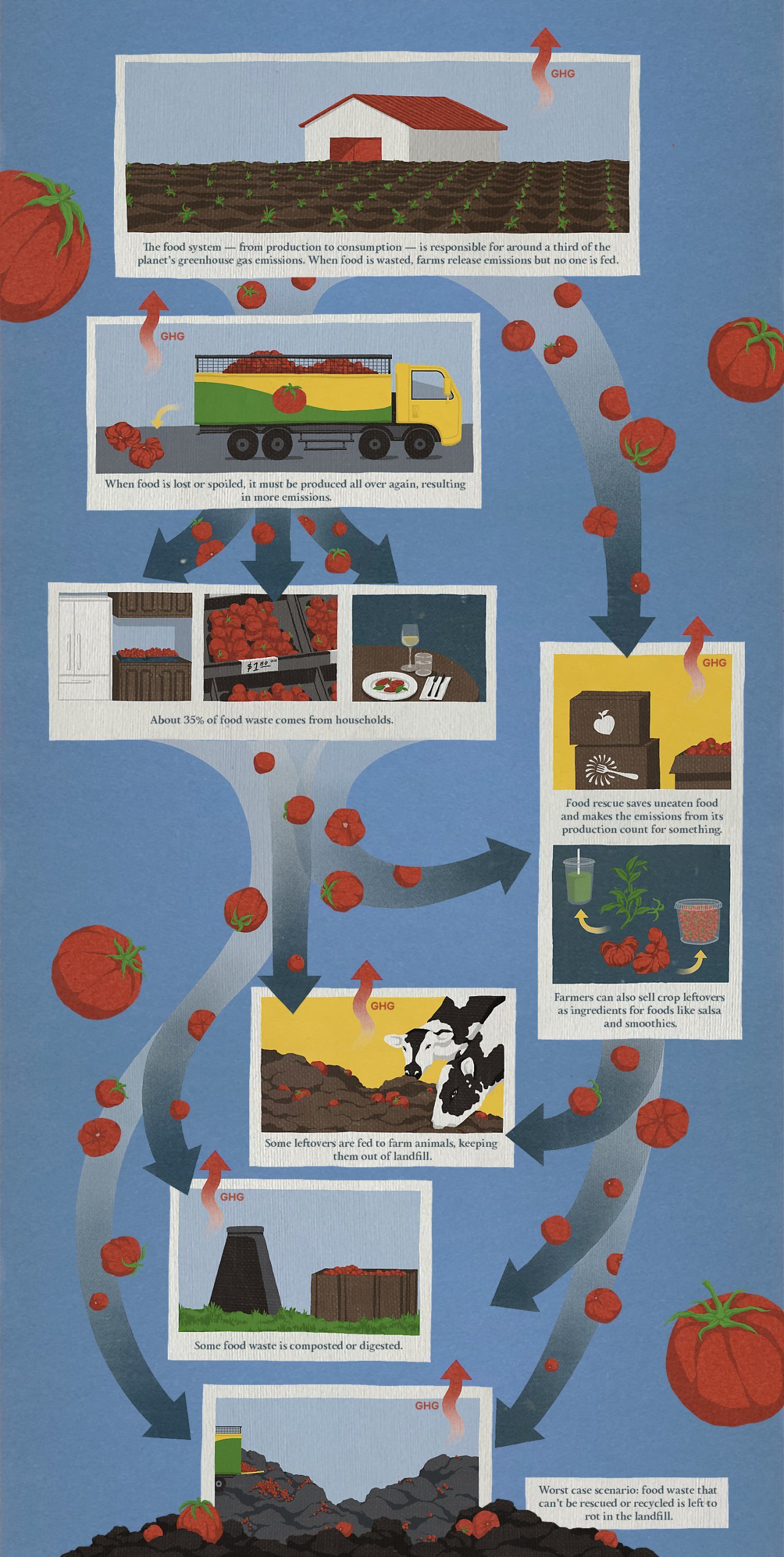 An infographic explaining the process of food distribution and waste.