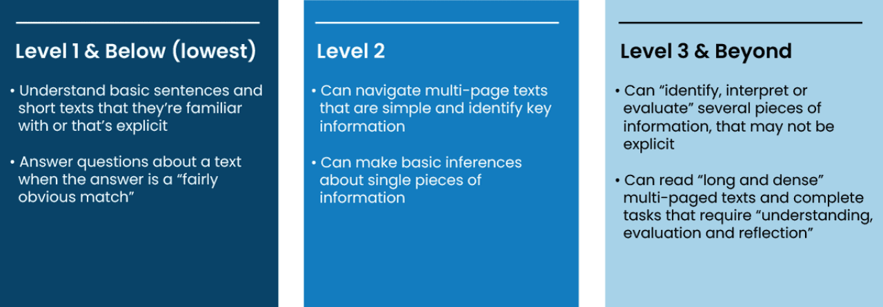 An infographic showing definitions of levels of literacy on blue backgrounds.