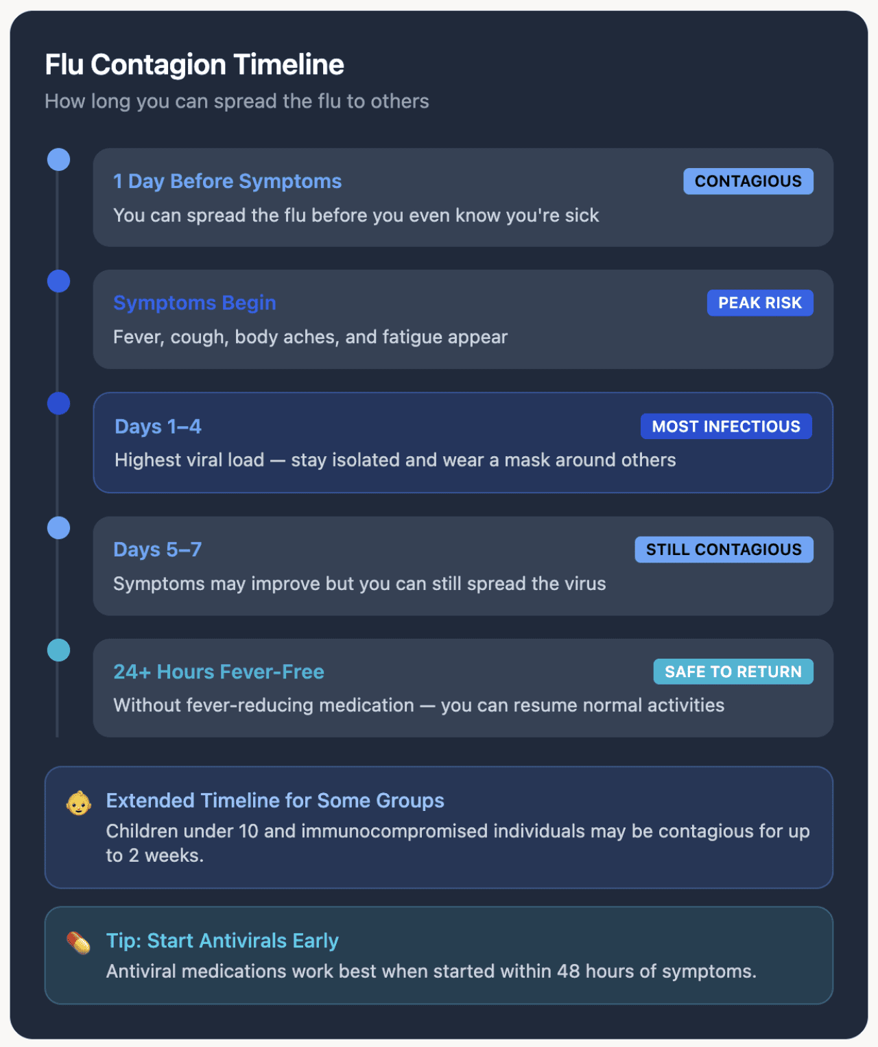 A graphic showing the timeline of a flu contagion.