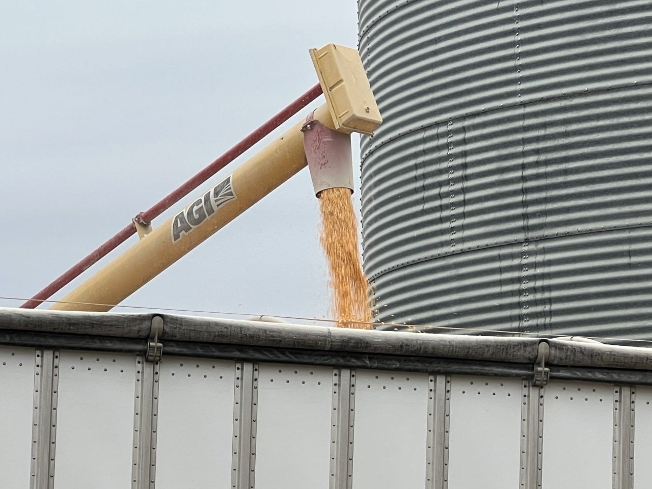 Corn is loaded into a semi-trailer for transport at a grain terminal in Fitchburg, Wisconsin.