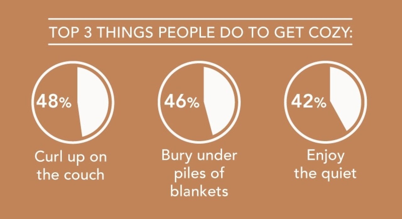 A data pie chart graphic showing the top three things people do to get cozy.