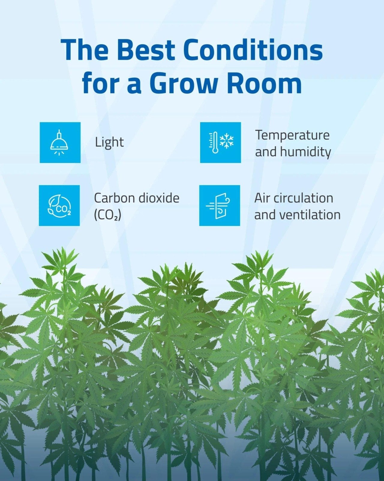 A graphic showing the best conditions for a grow room, which include light, carbon dioxide, temperature and humidity, and air circulation and ventilation. 