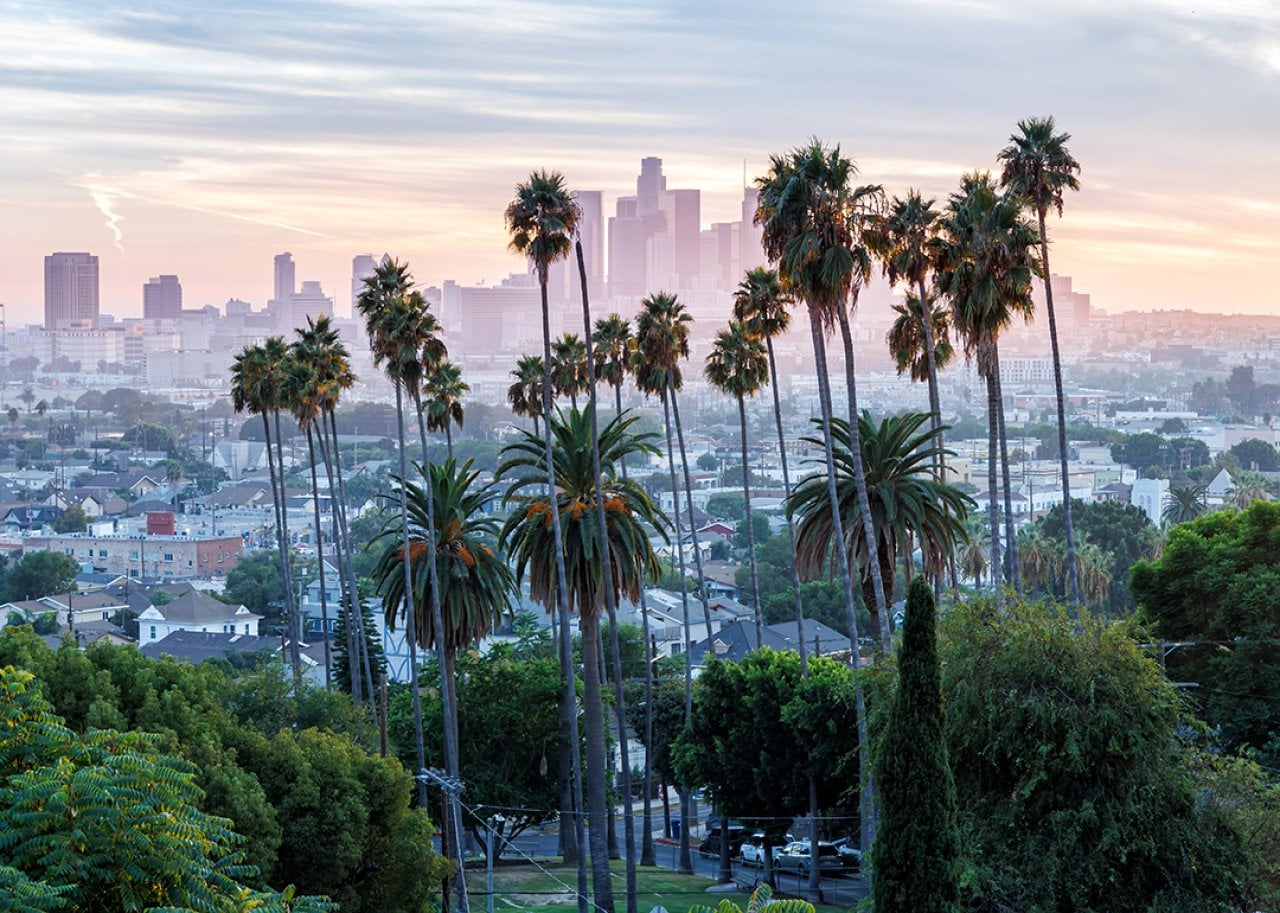 Palm trees and the city skyline during sunset in Los Angeles, California.