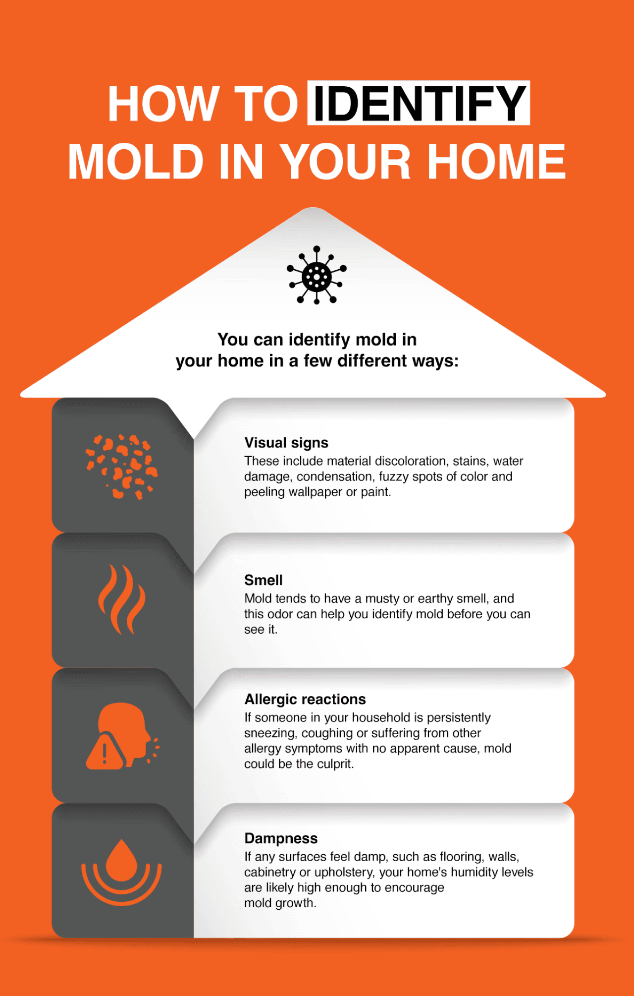 An infographic listing ways on how to identify mold in your home.