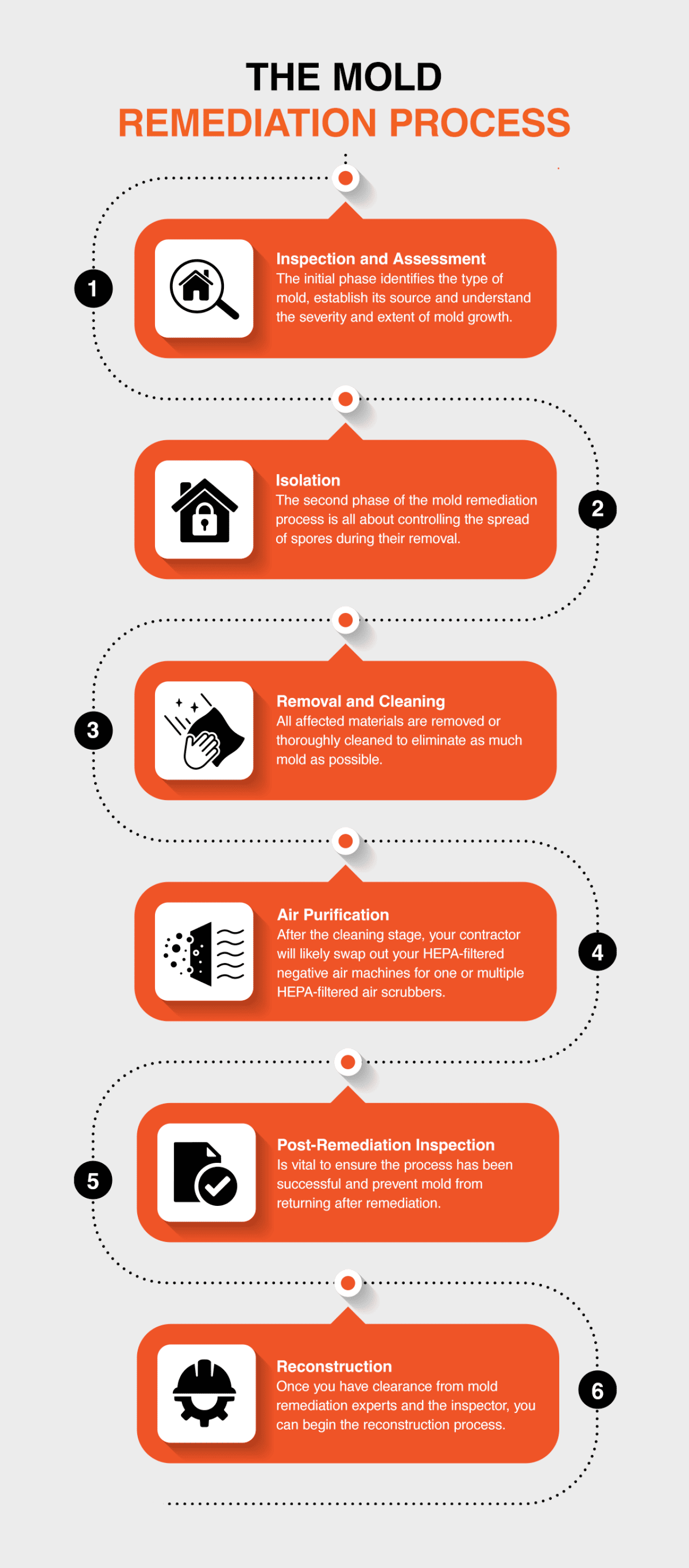 An infographic on the mold remediation process.
