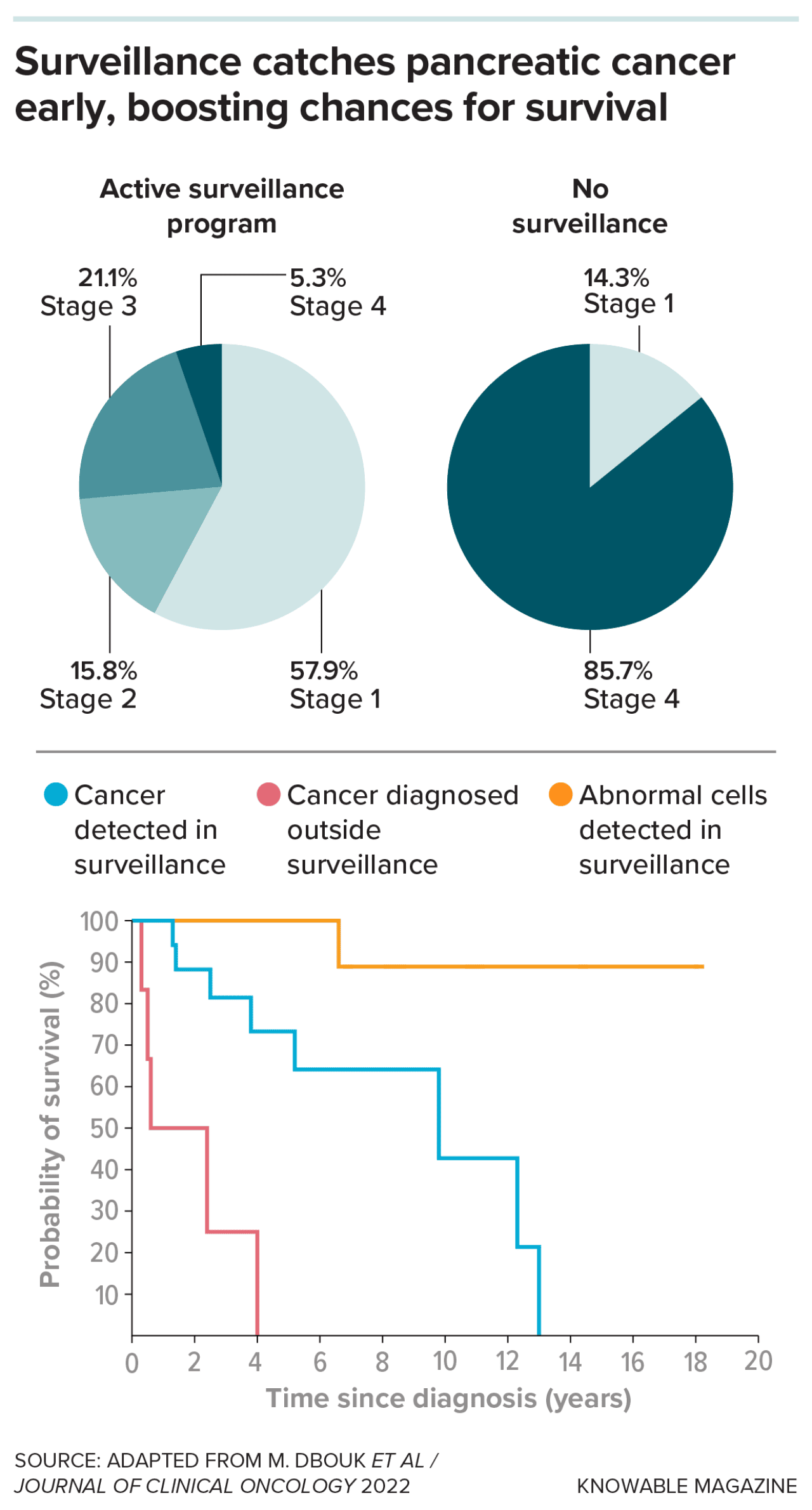 A data graphic showing overview that participants in the CAPS surveillance program who were diagnosed with pancreatic cancer tended to be diagnosed at earlier stages of disease than people not in the active surveillance program (top). Those whose cancer or abnormal cells were detected in the surveillance program also had higher probability of survival than those diagnosed outside the surveillance program (bottom).