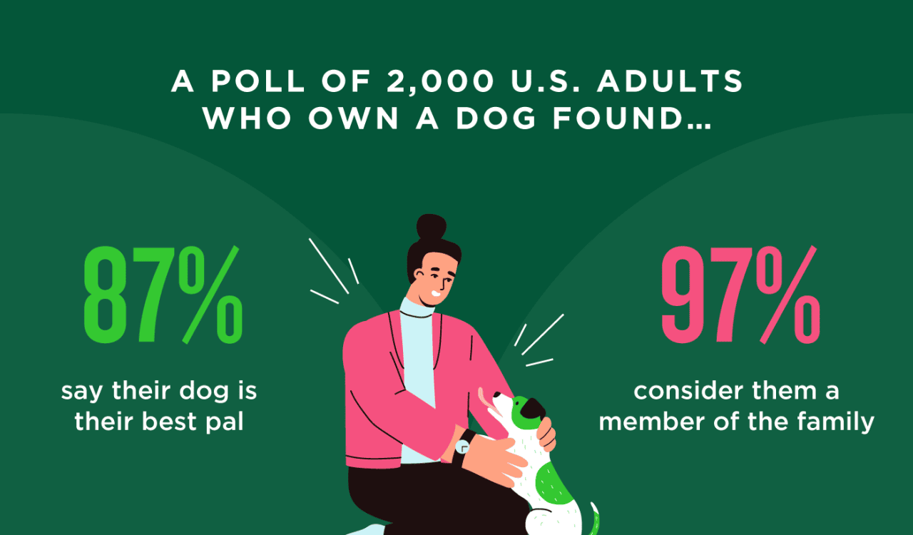 An infographic showing percentage of US adults who view their dogs as best pals or members of the family.