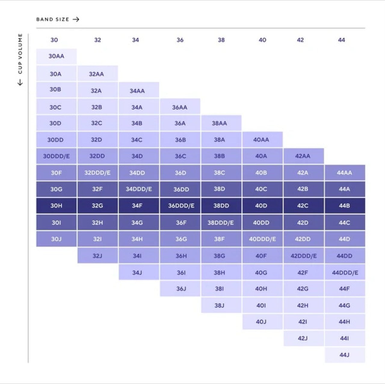 Bra size chart by cup volume and band size.