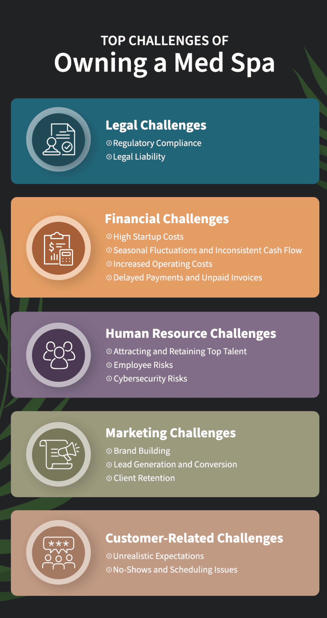 An infographic listing the top challenges of owning a med spa.