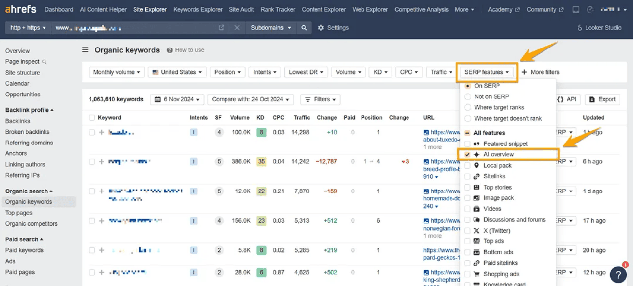 A screenshot of an AI Overview being visible on Ahrefs.