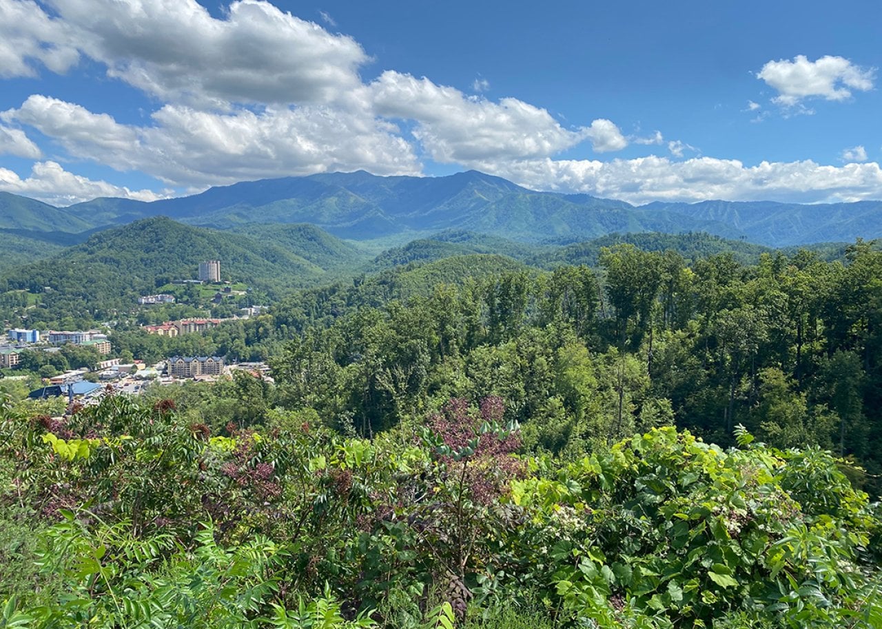 An aerial view of the Great Smoky Mountains in Tennessee, USA.