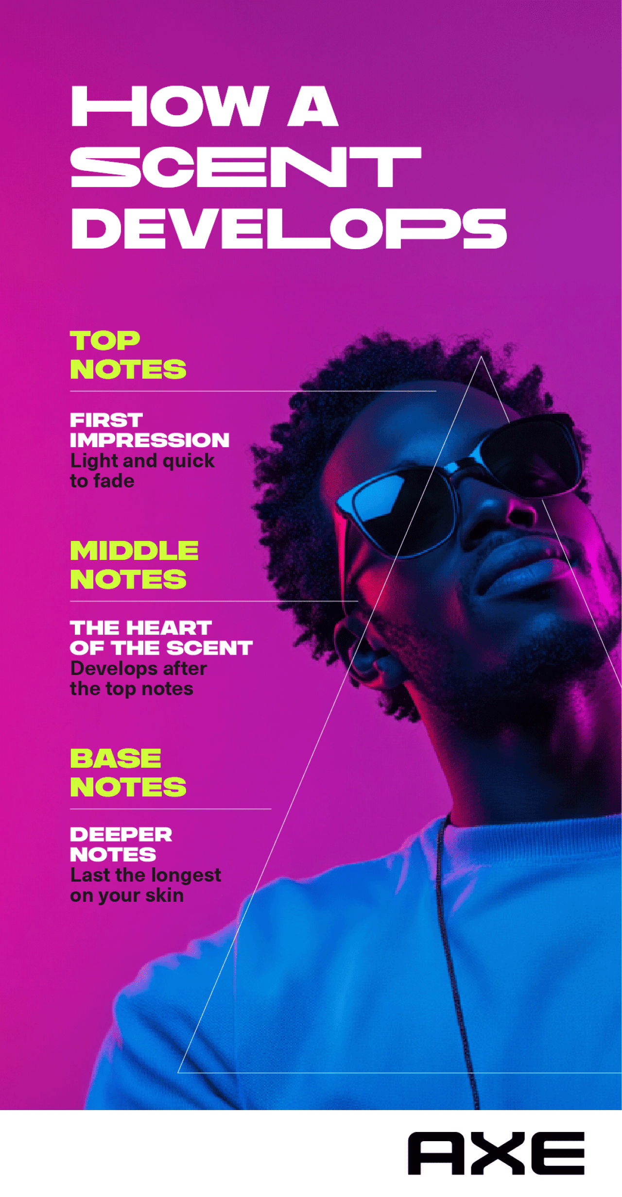 A poster showing how a scent develops based on notes.