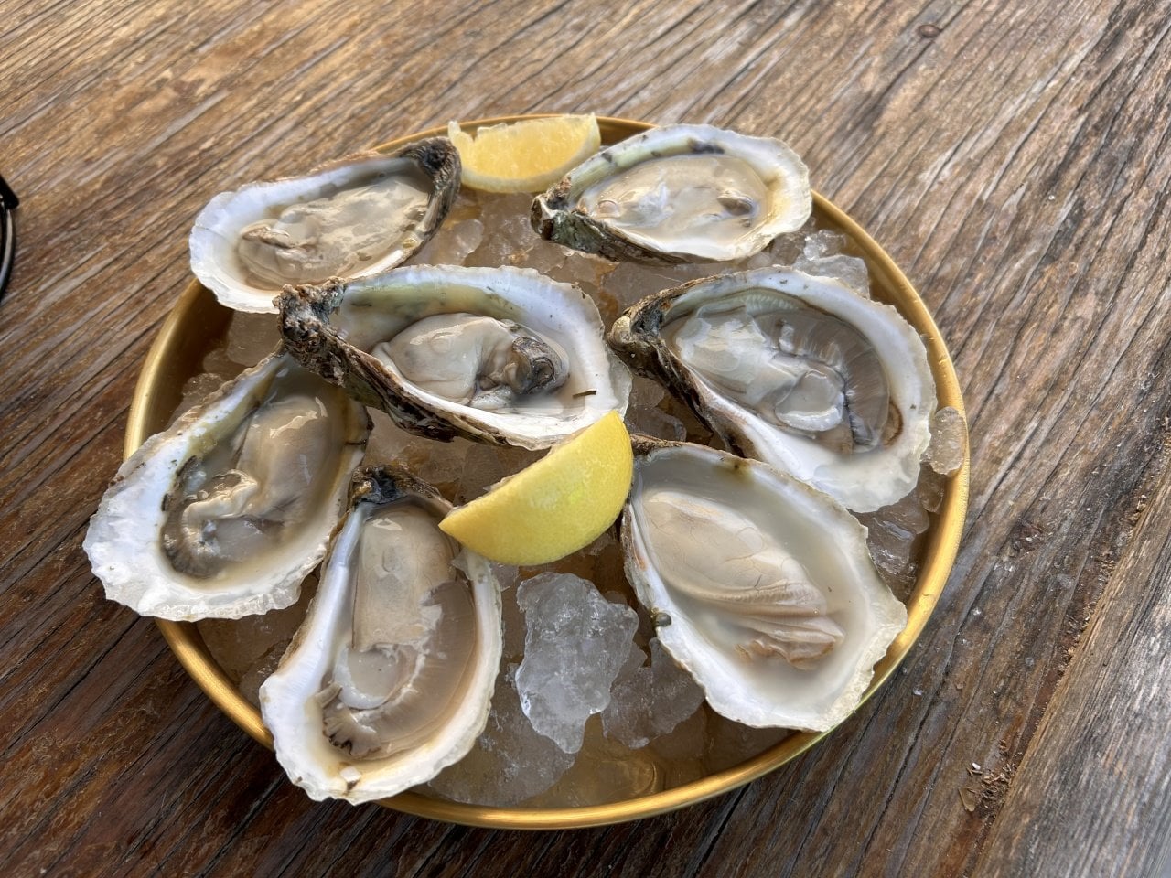 Seven freshly shucked Apalachicola oysters from Water Is Life Oysters on a bed of ice with two lemon wedges in a gold bowl . 