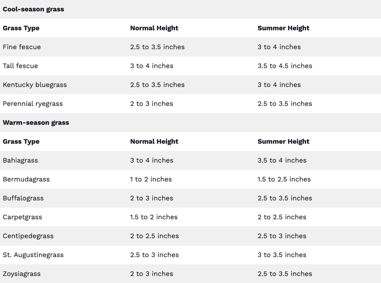 A guide on how to cut grass during summer (based on grass type).