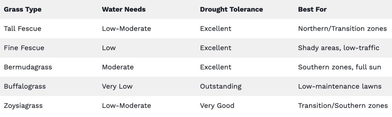 Table listing the best drought-tolerant grasses by region.