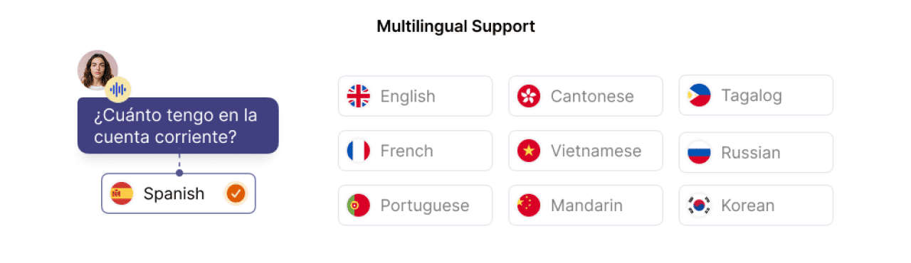 An infographic showing multilingual options available for support.