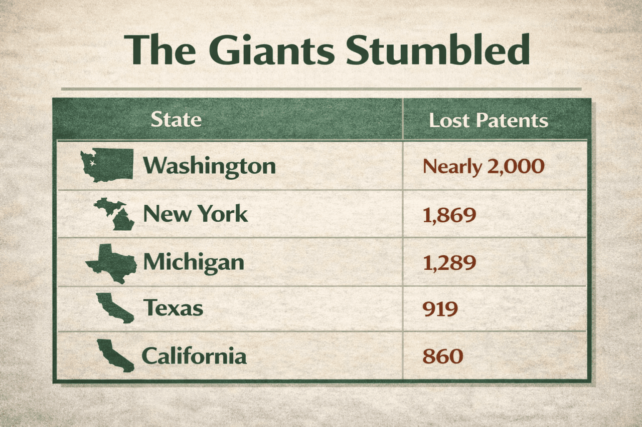 An infographic on the top states with the most number of lost patents.