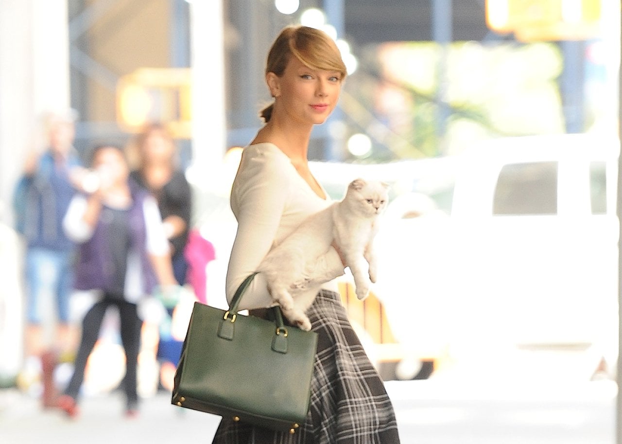 Taylor Swift seen holding her cat while walking along SoHo, New York City.
