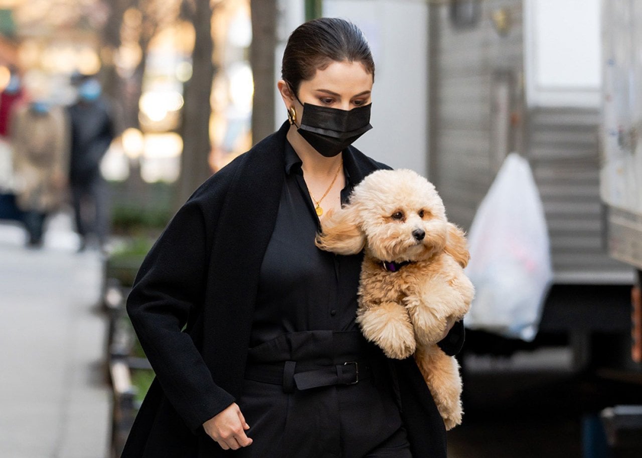Selena Gomez is seen with her dog on the set for 'Only Murders in the Building' in New York City.