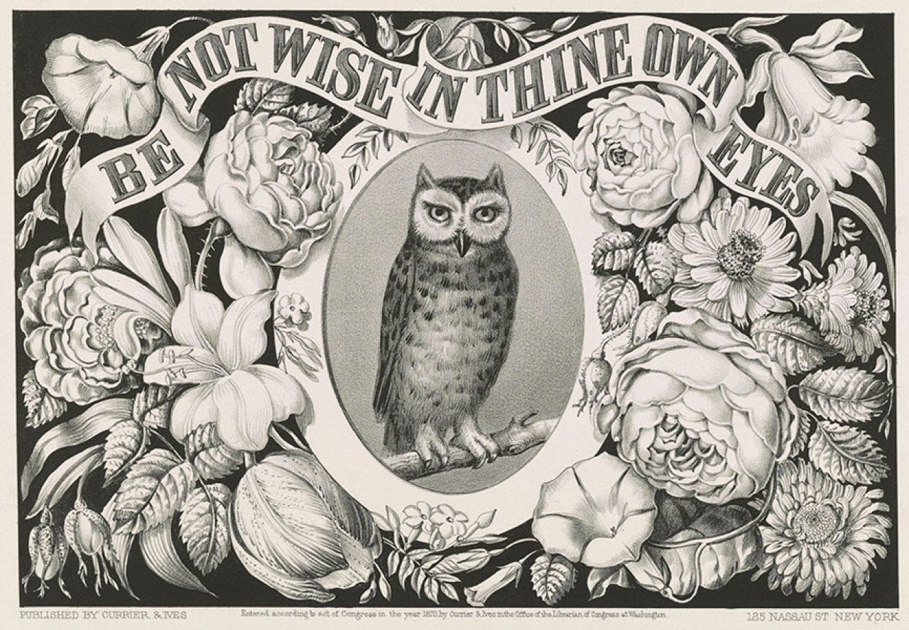 The owl was companion to Athena, godess of wisdom. With its quiet, piercing gaze in the dead of night, the creature came to be associated with wisdom in its own right.