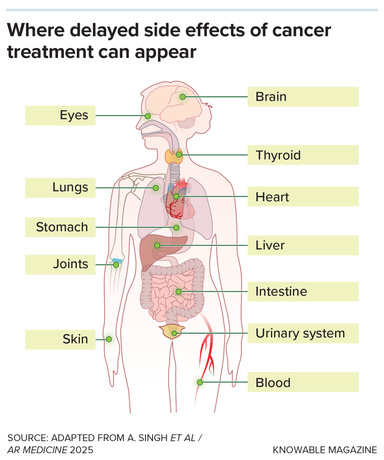 Infographic showing that cancer treatment often involves highly toxic chemotherapy and radiation, and where delayed effects and problems can appear years or even decades later in organs throughout the body.