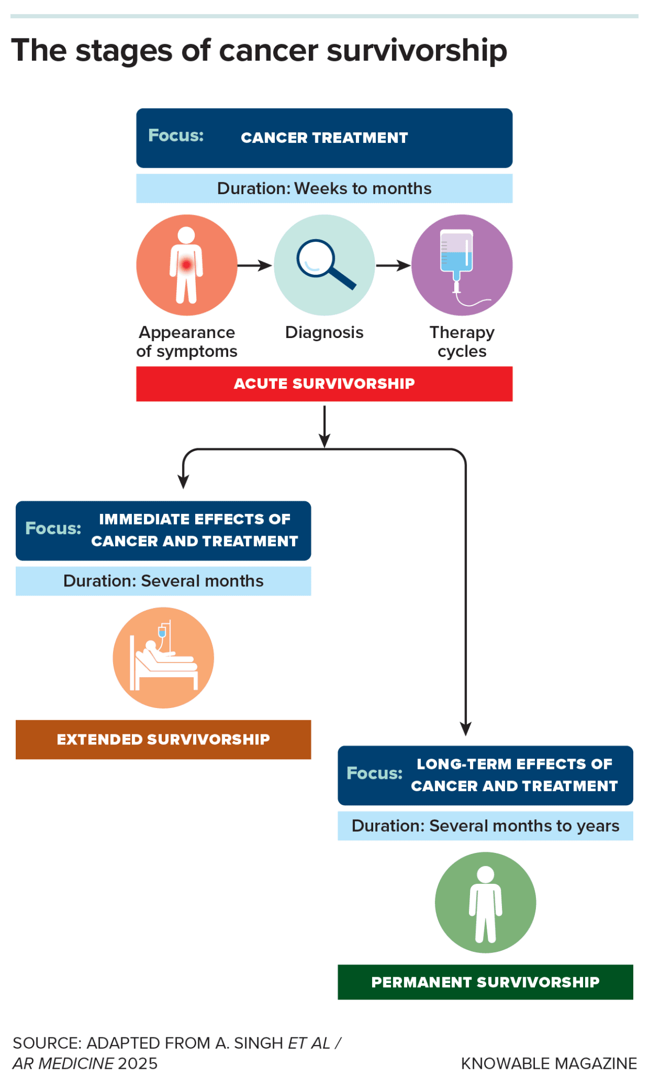 Infographic explaining how cancer patients go through several distinct stages: the treatment itself, its immediate consequences and longer-term effects. Few patients today receive medical care focused on those lingering effects.