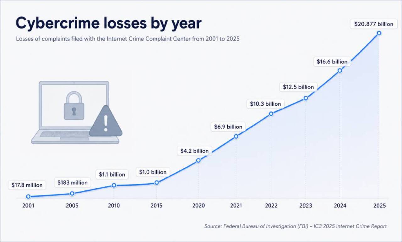 A graph showing the cybercrime complaints' losses from 2001 to 2025.