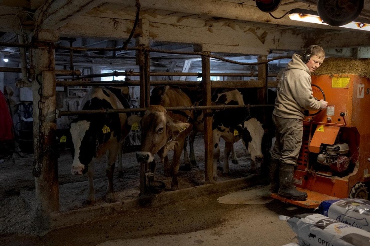 Andy Birch works at his dairy, Maple Grove Farm, in Derby, Vermont, in November. He milks 50 cows with the help of his wife and a high school student.