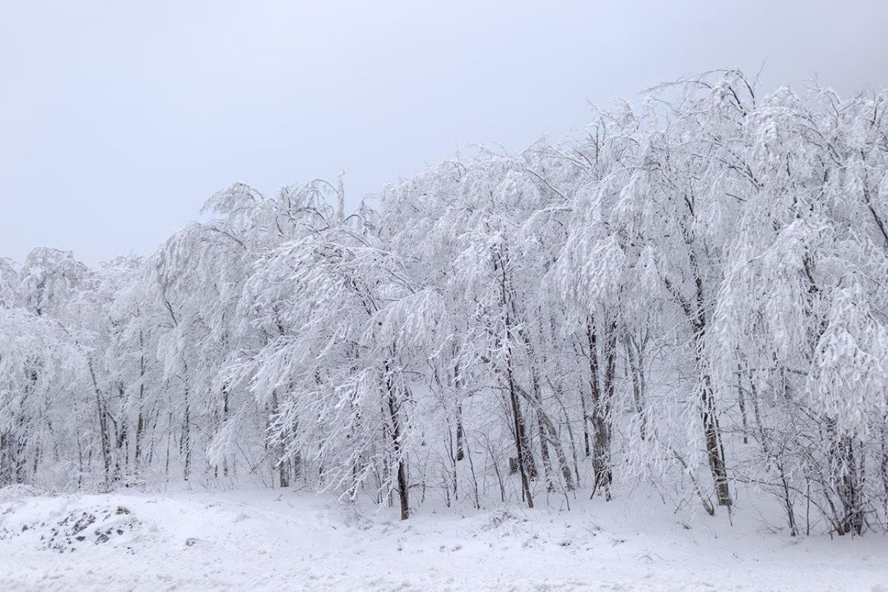 Scenes of rural Vermont in the winter with snow-covered trees. It’s increasingly difficult for farm workers to cross the border to get back home.