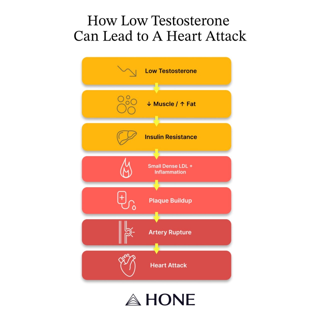 A sequence infographic of how low testosterone can potentially lead to a heart attack.