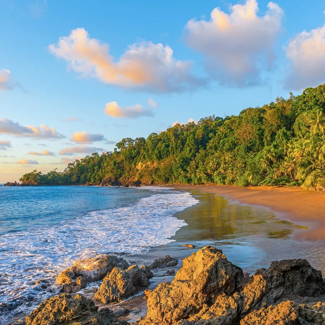 A rainforest coastline with rocky formations and sandy shores in Costa Rica.