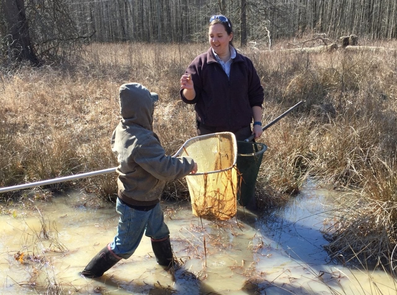 Two people holding nets, wading in water as part of the the Environmental Education Frog Program at Big Oaks National Wildlife Refuge.