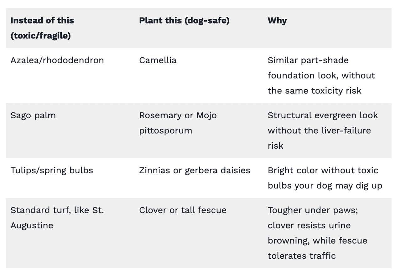 Table reporting pet-safe plant swaps.