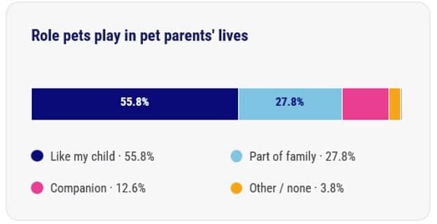 A data graphic revealing the role pets play in pet parents' lives.