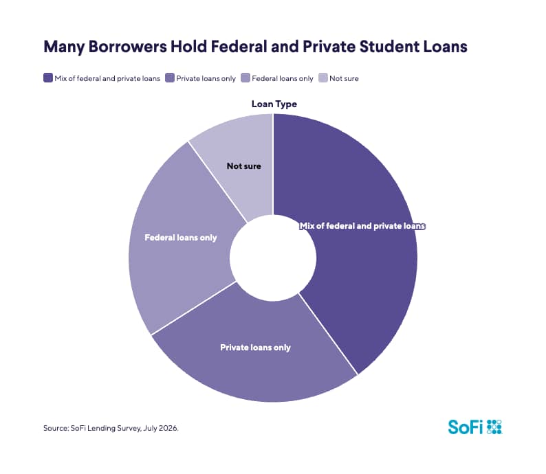 A donut chart showing how many borrowers manage federal and private student loans.