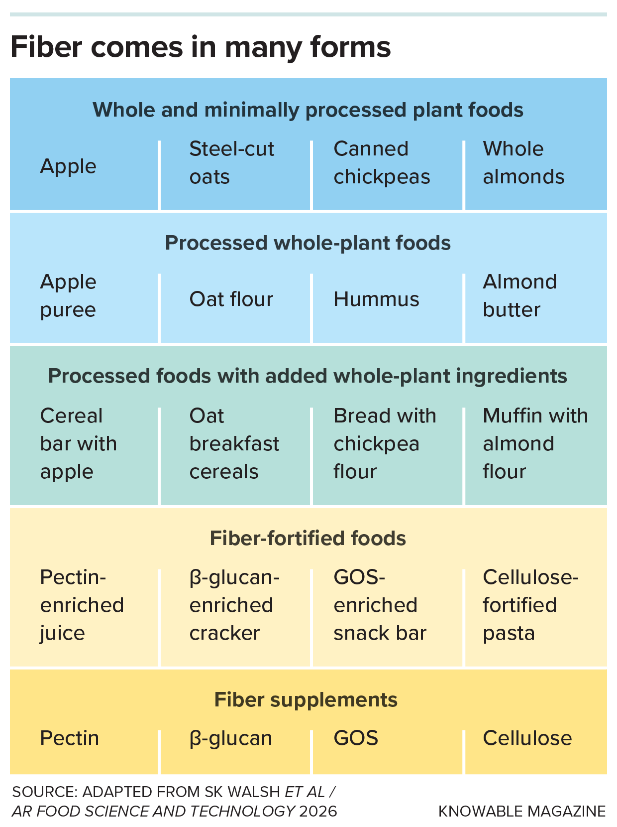 A table listing different sources of fiber ranging from whole-plant foods to processed options and supplements.