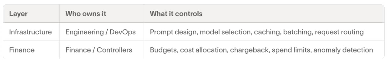 Table defining the two distinct levels that control AI costs.