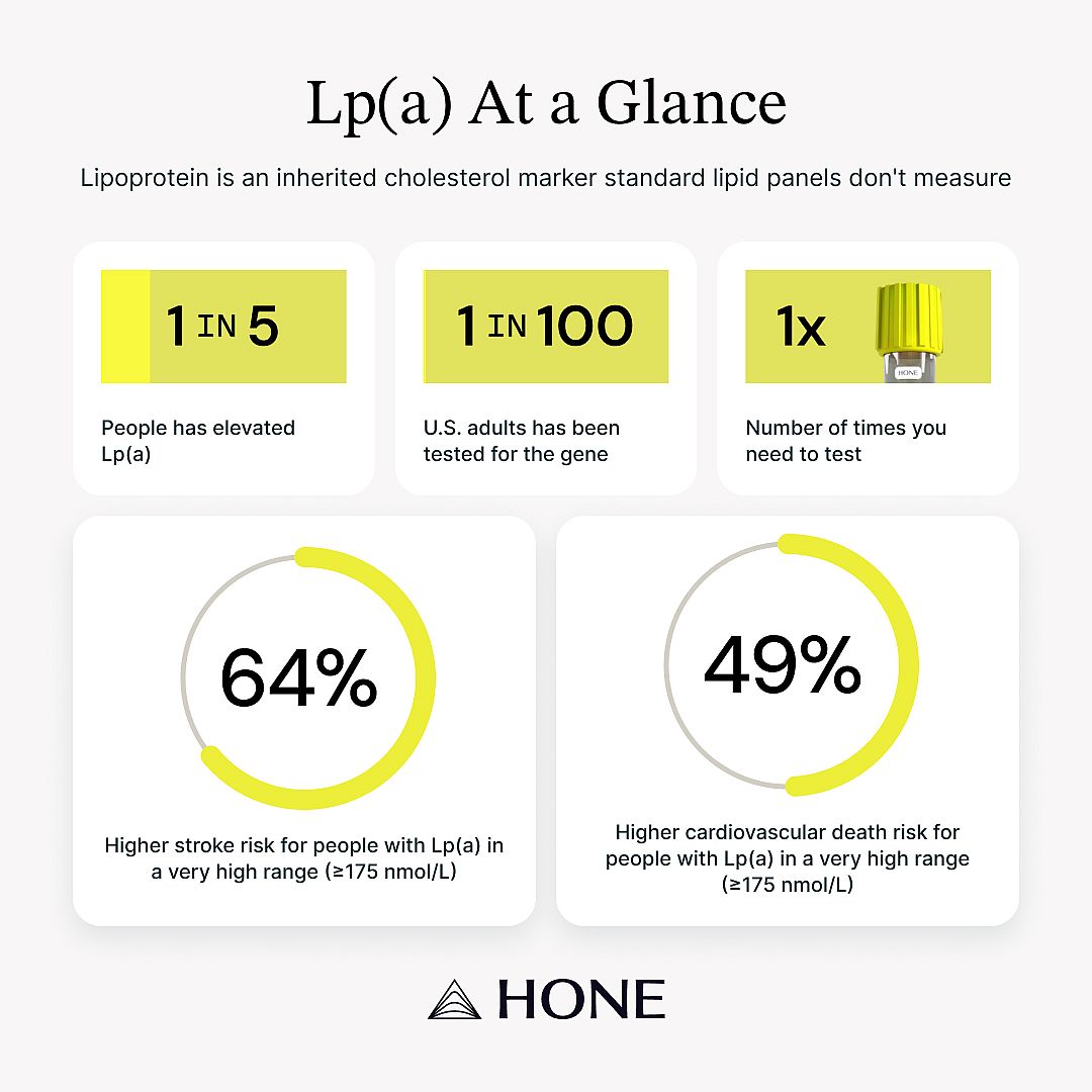 A data graphic reporting on lipoprotein as an inherited cholesterol marker that standard lipid panels don't measure.