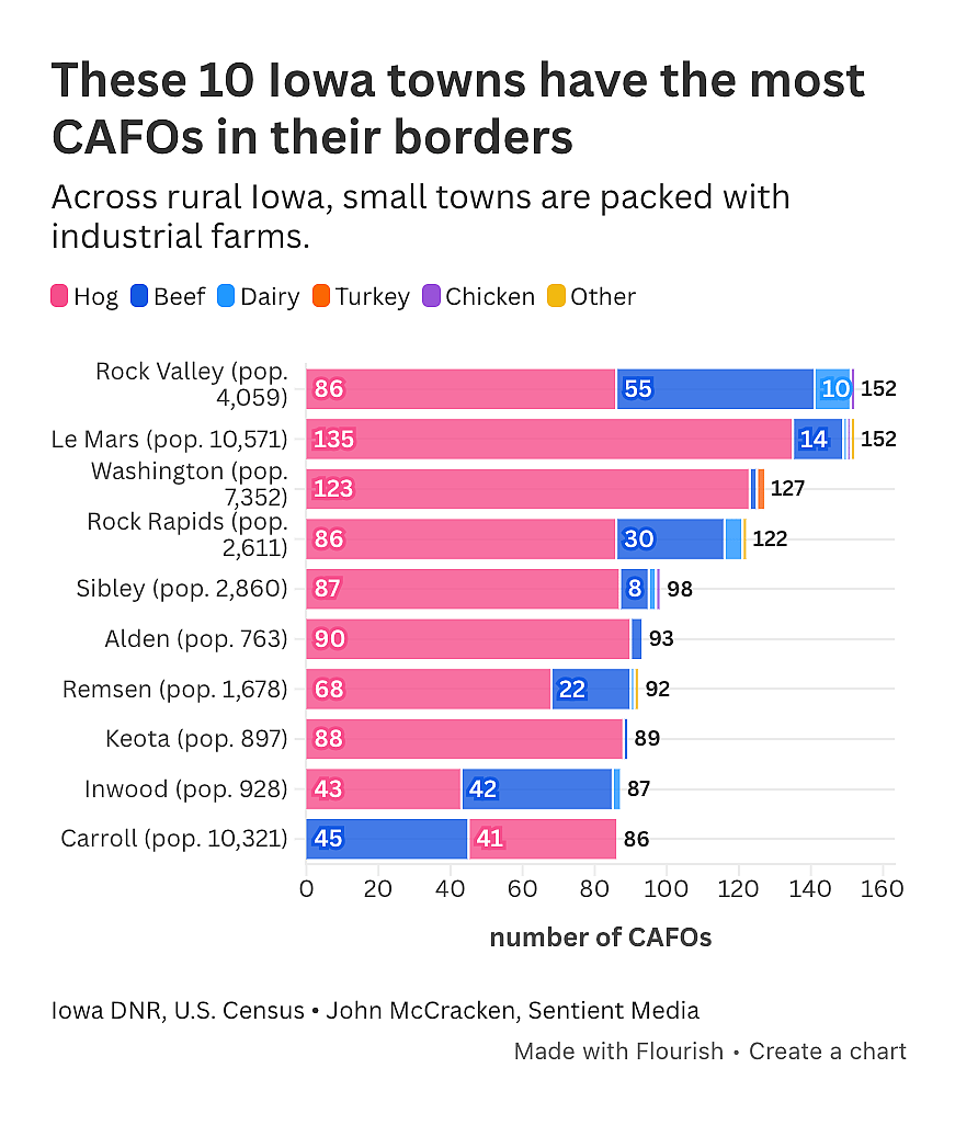 A data bar graph revealing the 10 Iowa towns that have the most CAFOs in their borders.
