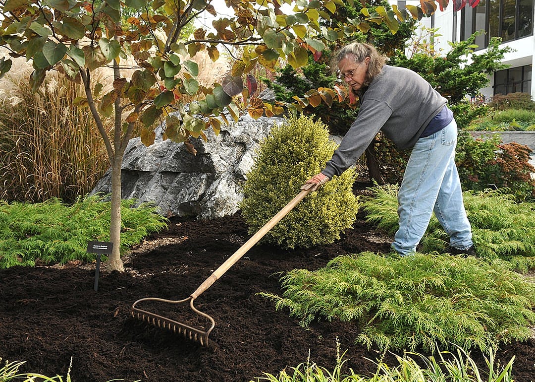 A group of master gardeners put the demo gardens at the Berks County Ag Center in Bern Township to bed for the winter. 