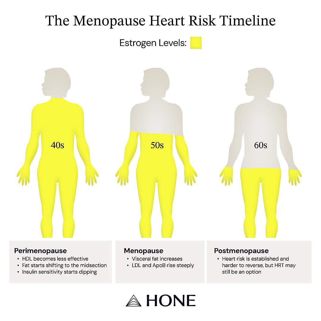 A visual chart showing the menopause heart risk timeline through estrogen levels.